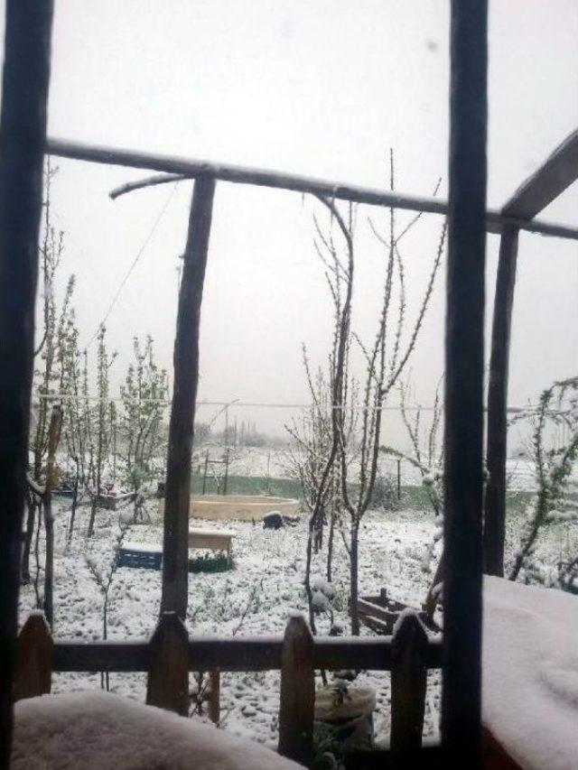 Elazığ'da Kar Yağışı Çiftçileri Üzdü