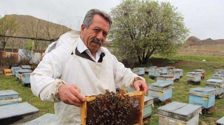 Arıcıların Kar Korkusu