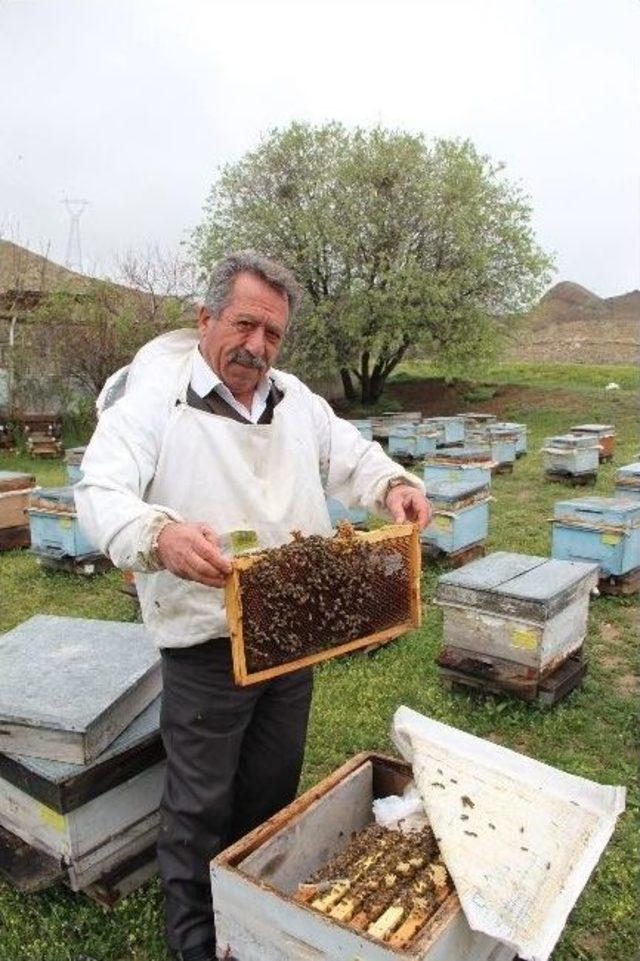 Arıcıların Kar Korkusu