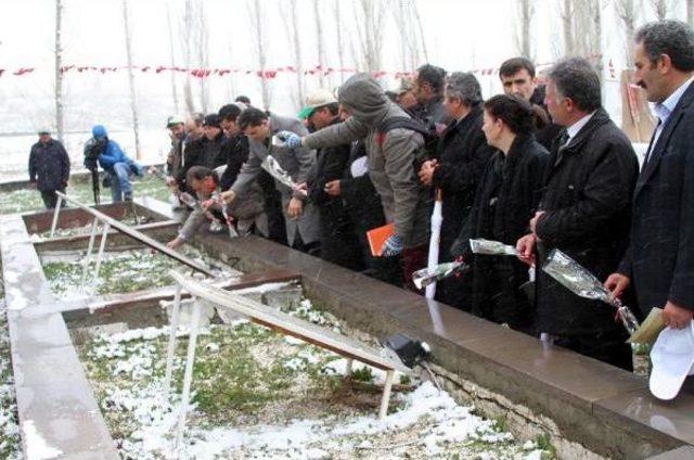 Ermeni Katliamına Kurban Gidenler Için Kar Altında Fidan Diktiler