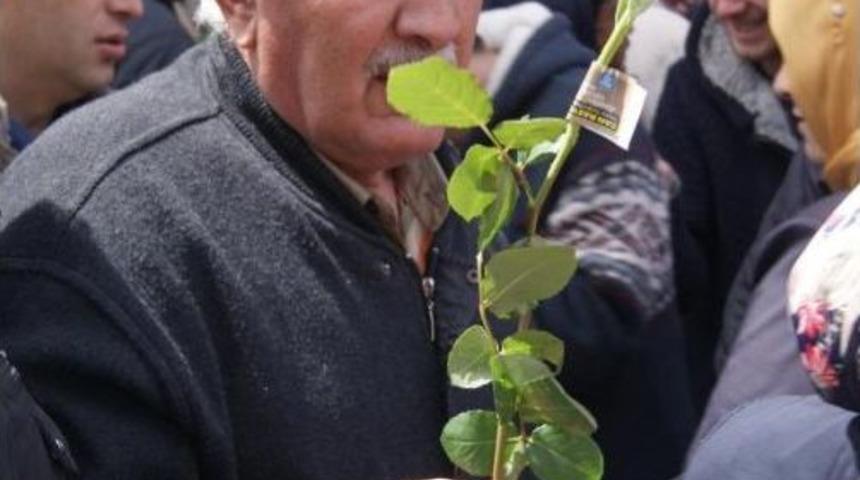 G&uuml;l Almak Isteyenler Birbirleriyle Yarıştı