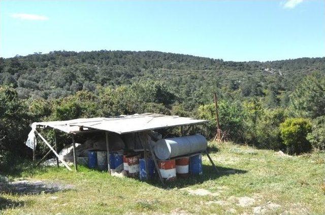 Arazi Sahipleri Pedasa Antik Kenti’ne Sahip Çıktı