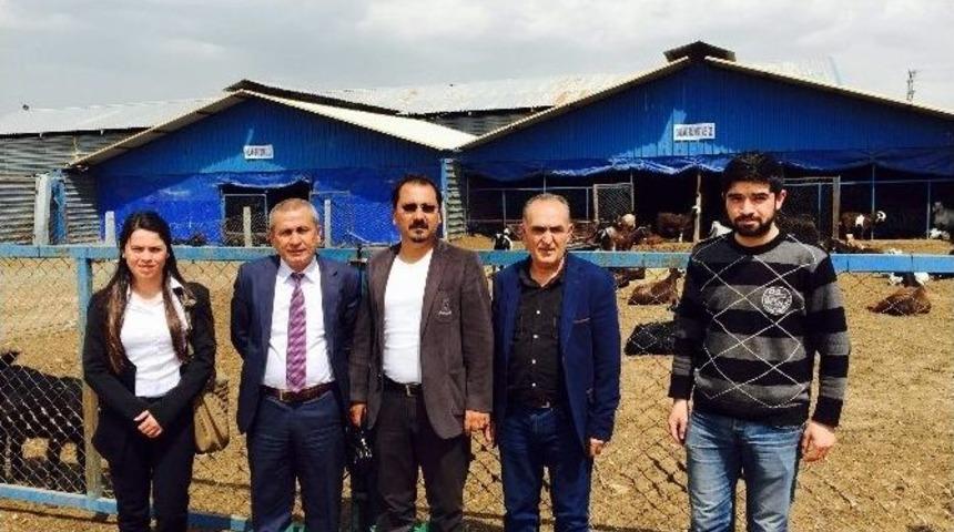 İslahiye Myo M&uuml;d&uuml;r&uuml; Ve Ekibi Ke&ccedil;i &Ccedil;iftliğini Ziyaret Etti