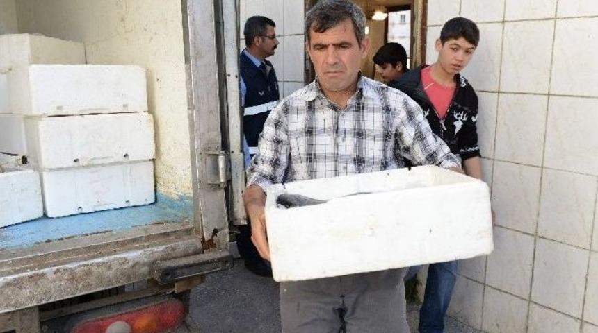 Kumluca&rsquo;da Bayat Balık Operasyonu