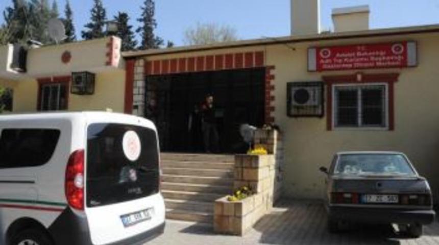 Yedinci Kattan Atlayarak Intihar Etti