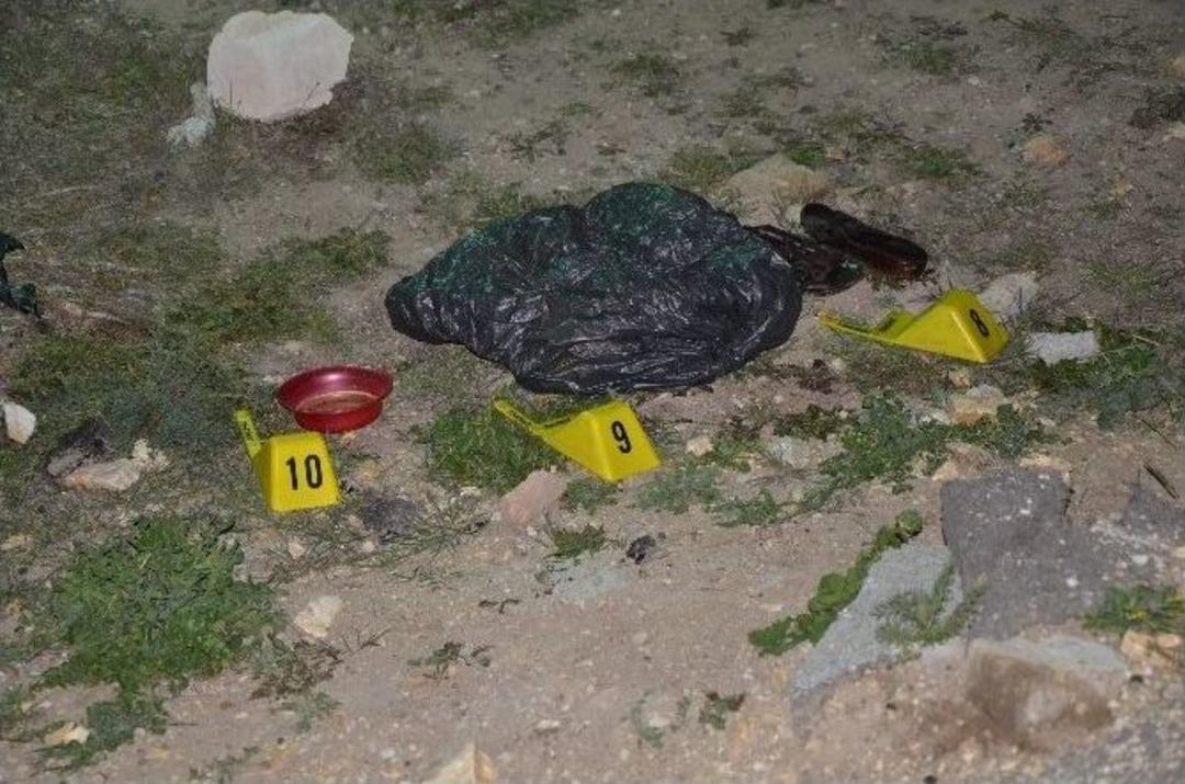 Odun Ararken Yeni Doğmuş Bebek Cesedi Buldular