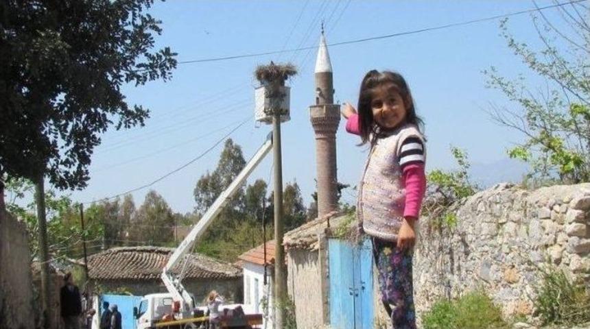 B&uuml;y&uuml;k Menderes Havzasında Leylek Sayımı