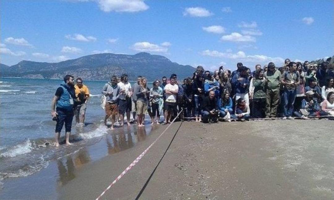 35. Uluslararası Deniz Kaplumbağaları Sempozyumu Sona Erdi