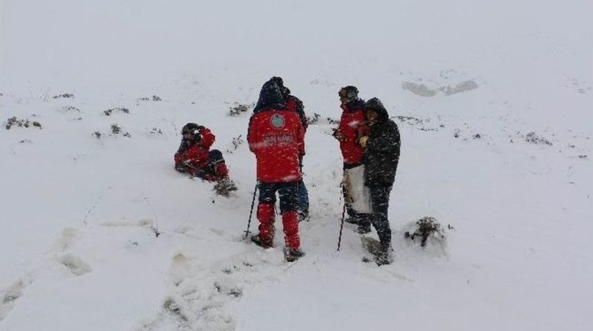 Kar Yağışı Nedeniyle Dokuz &Ccedil;oban Ve Beraberindeki Bin 800 K&uuml;&ccedil;&uuml;kbaş Hayvana Halen Ulaşılamıyor