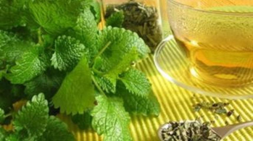 Mevsimsel Depresyonlara Melisa &Ccedil;ayıyla Son Verin