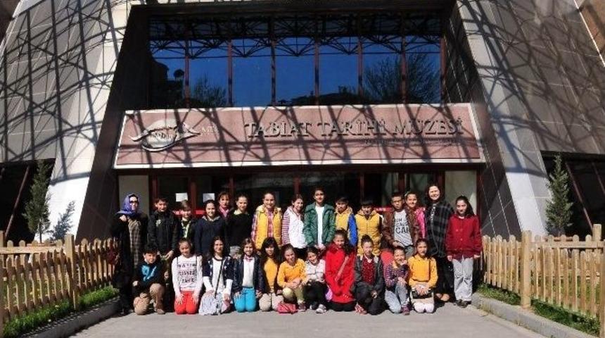 Mamak Belediyesi Bilgi Evleri &Ouml;ğrencileri Tabiat Tarihi M&uuml;zesini Gezdi