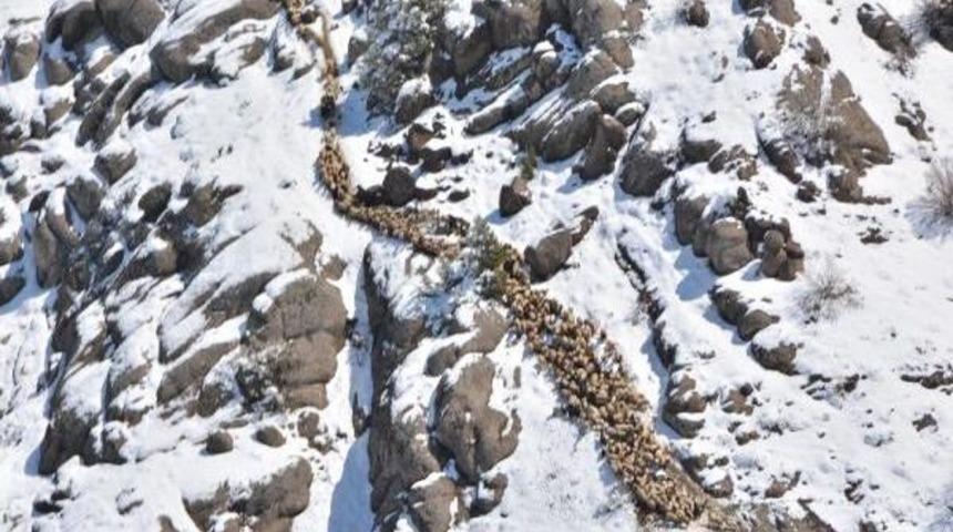 Bezirgan Yaylası'nda Kardan, Koyunlarıyla Mahsur Kalan 9 &Ccedil;obana Helikopterle Ulaşıldı