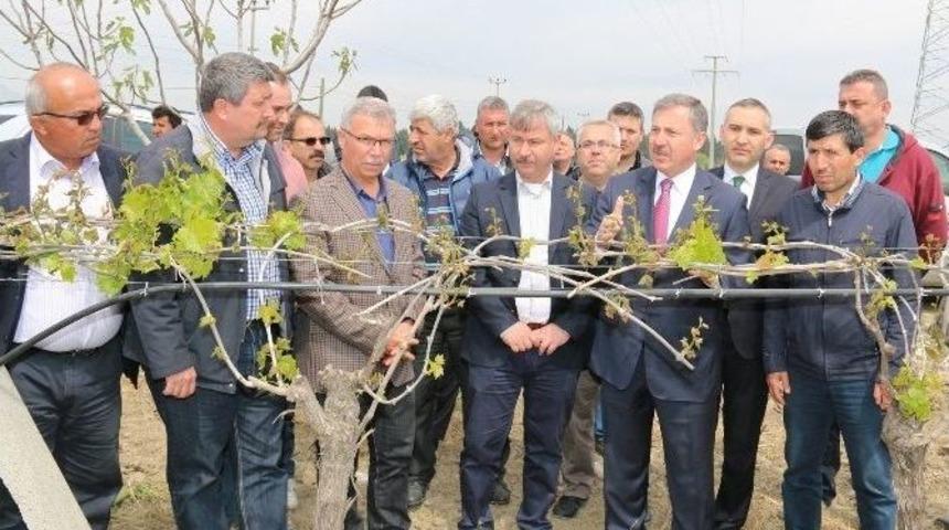Ak Parti&rsquo;li &Ouml;zdağ Dondan Zarar G&ouml;ren &Ccedil;ift&ccedil;ilerle Bir Araya Geldi