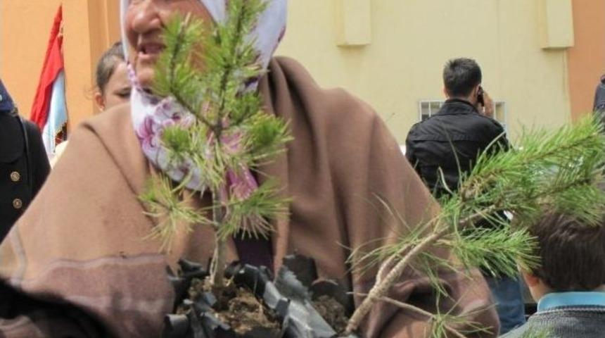 Halka &Uuml;cretsiz Fidan