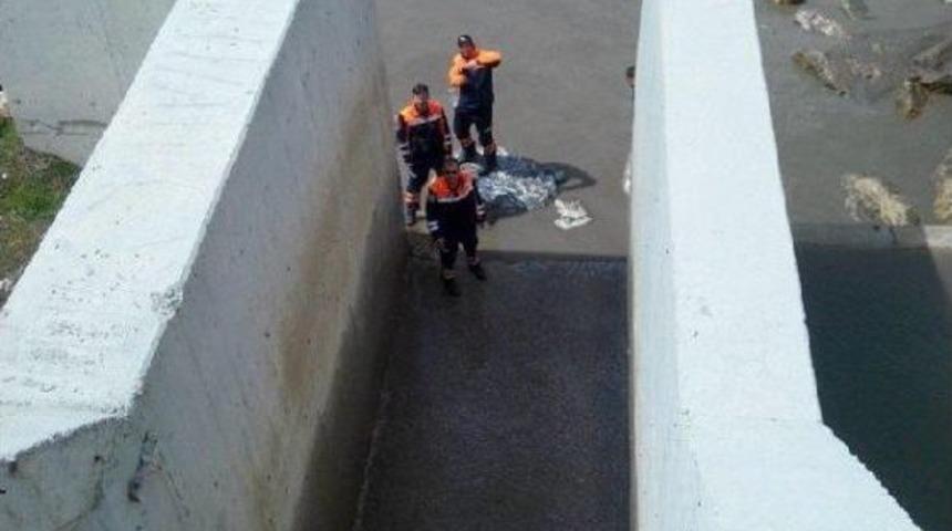 92 Yaşındaki Kadın 12 G&uuml;nd&uuml;r Kayıp