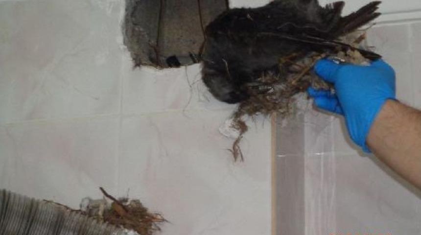 Misafirliğe Geldiği Evde Kombiden Sızan Gazdan Zehirlenip &Ouml;ld&uuml; (2)