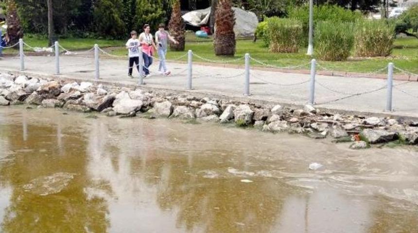 İzmit K&ouml;rfezi Yine Kızardı
