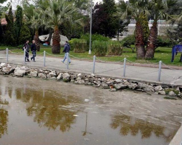 İzmit Körfezi Yine Kızardı