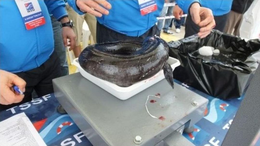 En B&uuml;y&uuml;k Balığı Avlamak İ&ccedil;in Yarıştılar