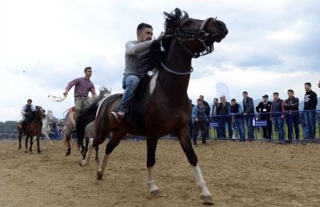 Sağlık Bakanı M&uuml;ezzinoğlu Rahvan Atı Yarışlarında Dereceye Girenleri &Ouml;d&uuml;llendirdi