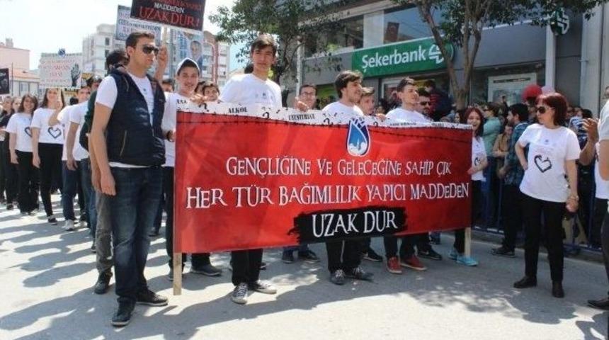 Mesir&rsquo;e Renk Kattılar