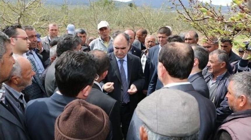 Don Vuran Meyve Bahçelerinde Hasar Tespiti Yapıldı