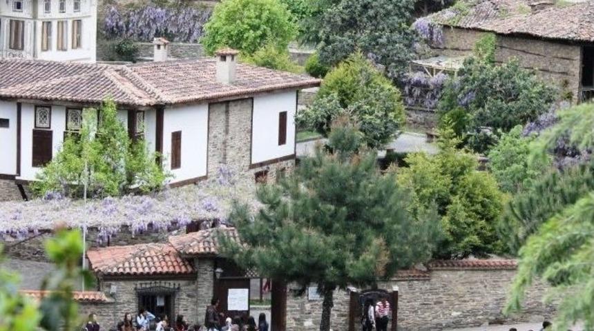 Birgi&rsquo;nin Piknik Alanları Doldu Taştı