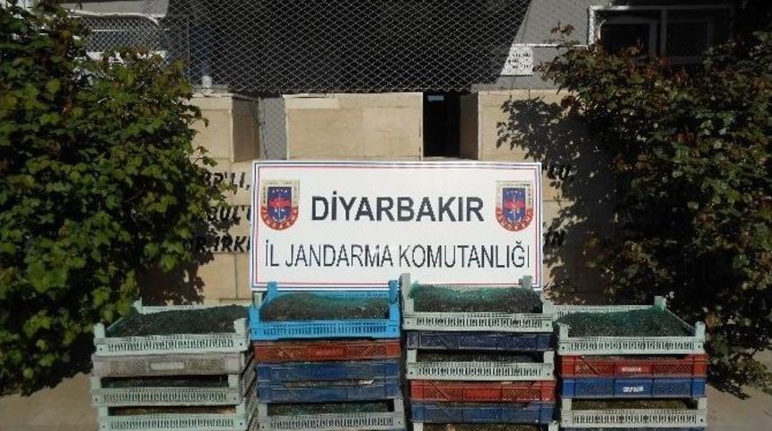 Jandarmanın Yol Kontrol Uygulamasında 191 Kilogram Canlı Kurbağa Ele Ge&ccedil;irildi