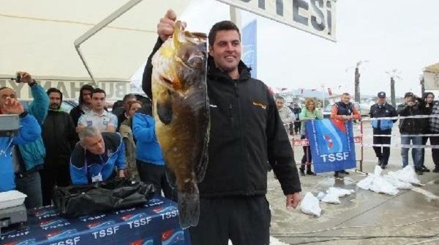 Zıpkınla En Büyük Balığın Peşine Düştüler