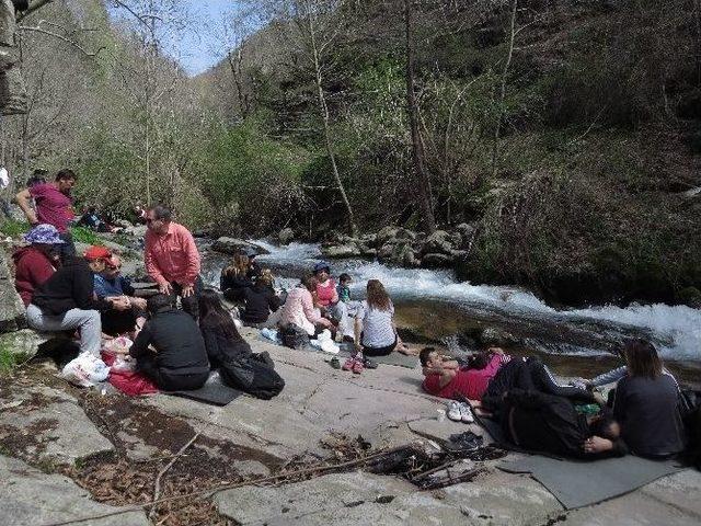 Kovuk Çınar Şelalesi Doğa Severleri Ağırladı