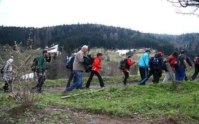 İlkbahar Doğa Yürüyüşleri Hendek Çiğdem Yaylası Parkuruyla Devam Etti