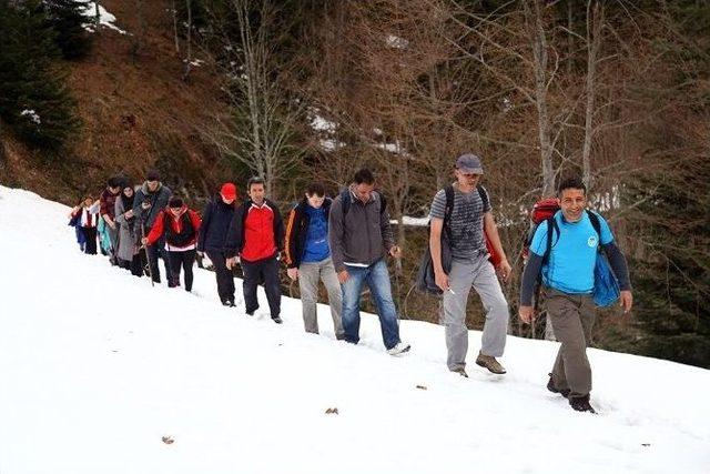 İlkbahar Doğa Yürüyüşleri Hendek Çiğdem Yaylası Parkuruyla Devam Etti