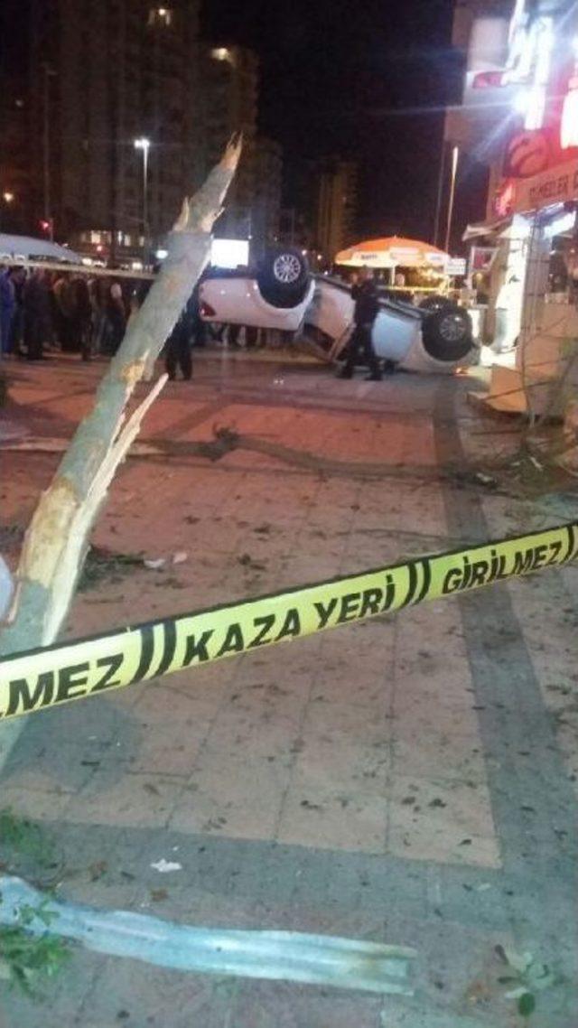 Kamyonet Ağaca Çarptı: 1 Ölü, 1 Yaralı