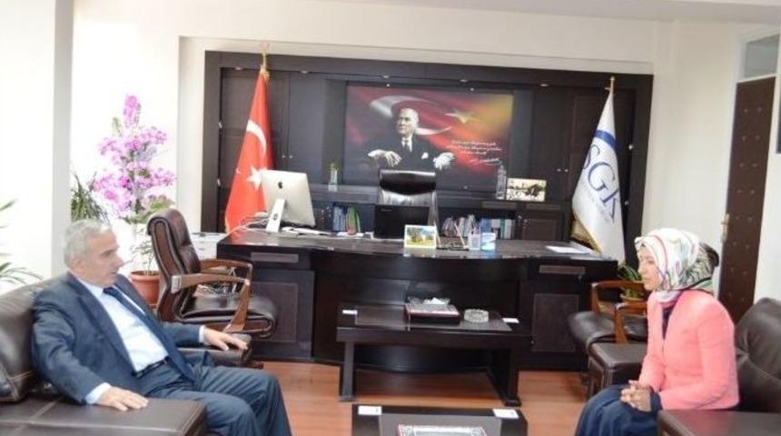 Vali Kam&ccedil;ı, M&uuml;d&uuml;rl&uuml;klerde İncelemelerde Bulundu