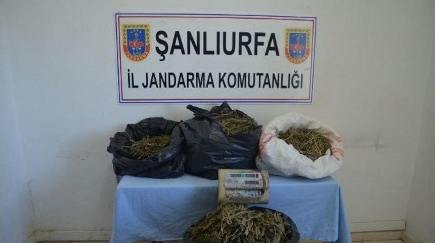 Jandarmadan Uyuşturucu Ve Petrol Ka&ccedil;ak&ccedil;ılarına Operasyon