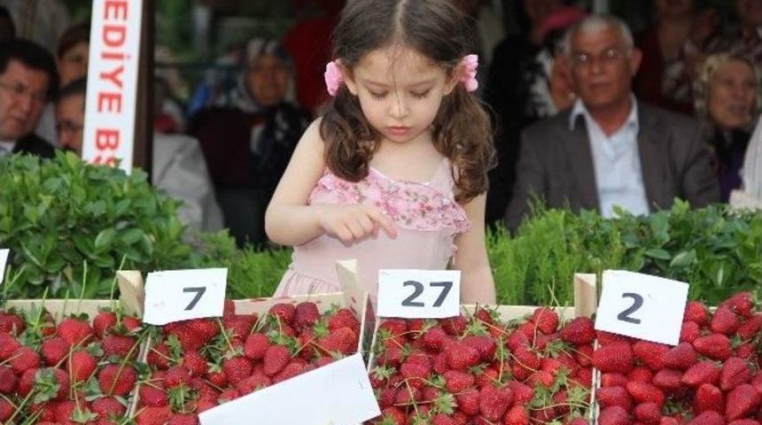 Aydın&rsquo;da 2014 Yılında 62 Bin 859 Ton &Ccedil;ilek &Uuml;retildi