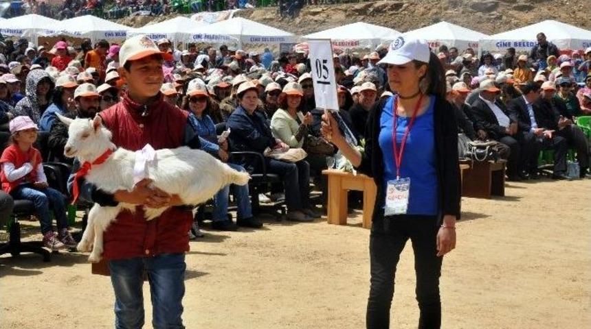 Oğlak Ve &Ccedil;oban Şenliği 10 Bin &Ccedil;ift&ccedil;iyi Buluşturdu
