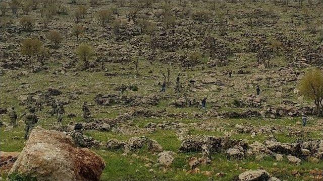 Diyarbakır’da 52 Kilogram Esrar Ele Geçirildi