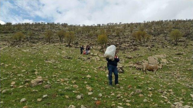 Diyarbakır’da 52 Kilogram Esrar Ele Geçirildi