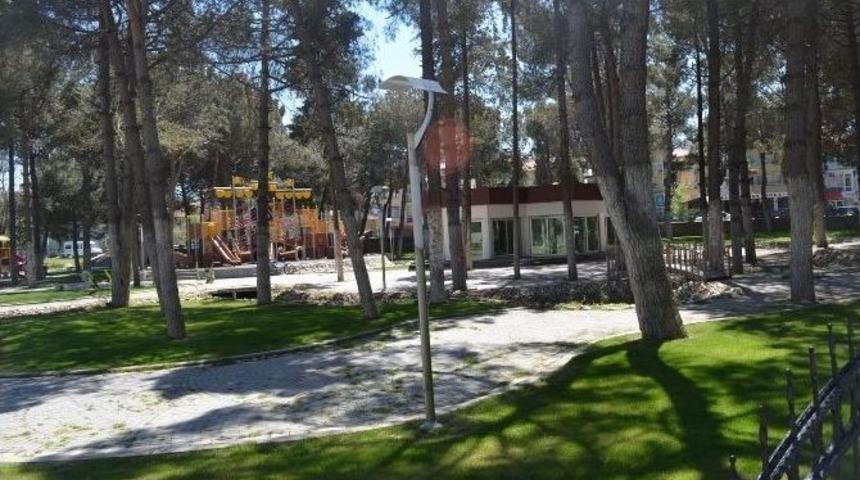 &Ccedil;ay Bah&ccedil;esine Rekor Kira