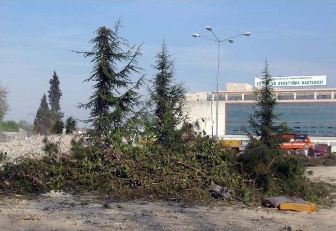 Sakarya'da Yeni Hastane Binası I&ccedil;in 100 Ağa&ccedil; Kesildi