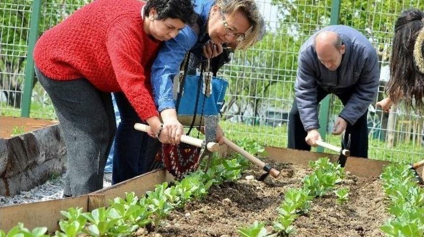Mutluluk Bah&ccedil;esi&rsquo;ne Engelli Ailelerden Tam Not