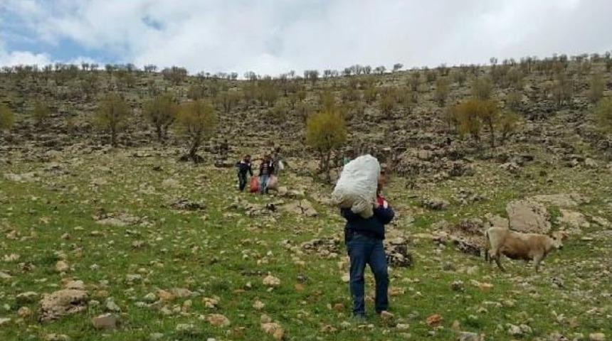 Narkotik K&ouml;peği 'haydut', Kayalıklarda Gizlenen 52 Kilo Esrarı Buldu