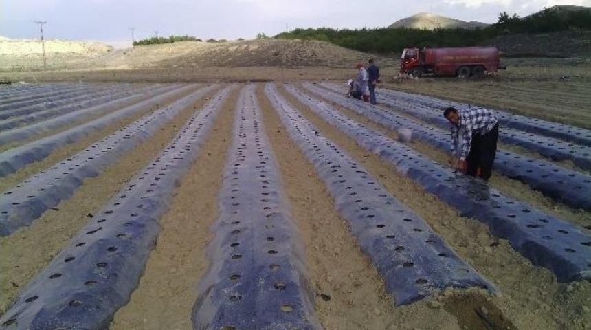 Daredende, Tarıma Değer Katanlar &Ouml;d&uuml;lleri&rsquo;nde T&uuml;rkiye 3.s&uuml; Oldu