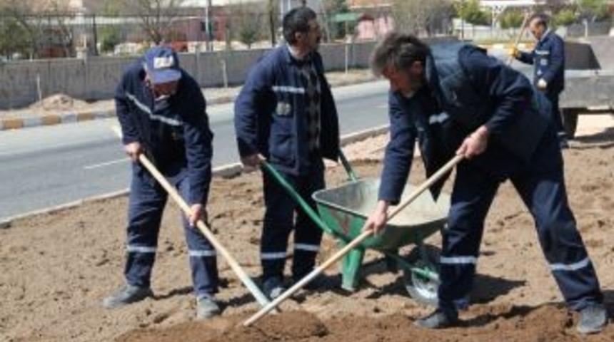 &Uuml;niversite Girişinde Yeşil Alan D&uuml;zenlemesi S&uuml;r&uuml;yor