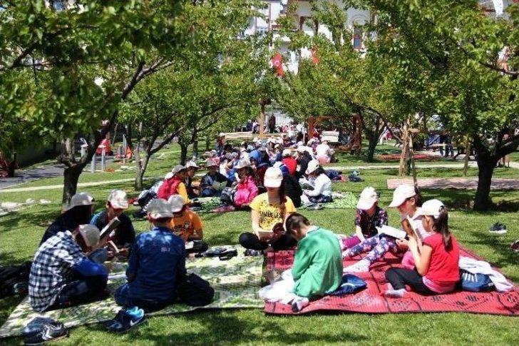 Kayısı Ağaçları Altında Kitap Okuma Keyfi G3