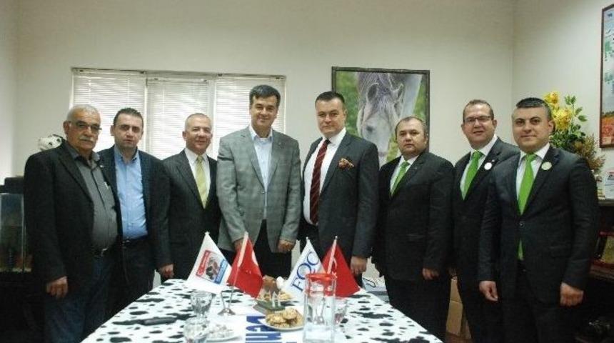 Damızlık Birliği Üyelerine Düve Alım Kredisi