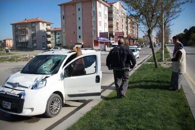 Anne Kalp Krizinden, Oğlu Kazada Öldü