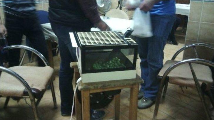 Kahvehaneye Tombala Operasyonu G3