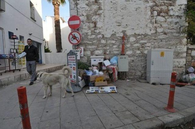 Bodrum’da Elektrik Çalışmalarına Zamanlama Tepkisi